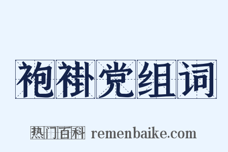 袍褂党组词是什么意思的图片